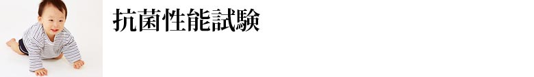 抗菌性能試験
