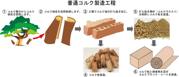 コルクの製造過程